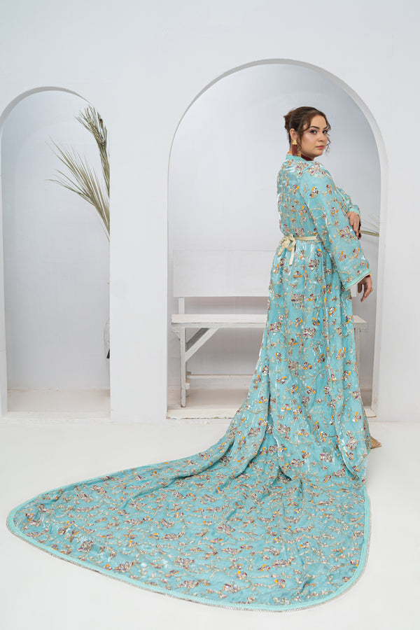 Exclusive Light Green Organza Silk Long Tail Dress with Hand Work & Multi Matching Design