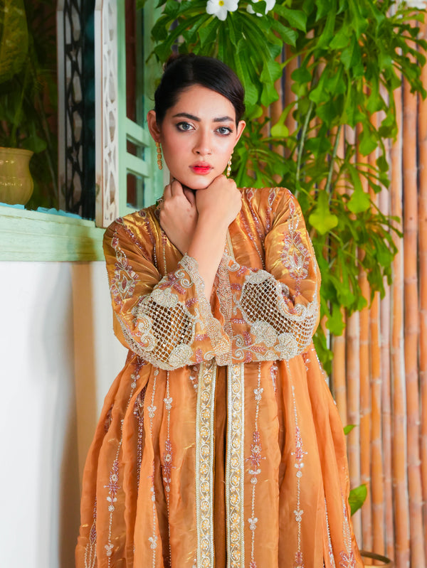 Ochre Gold Embroidered Organza Jacket Maxi Dress